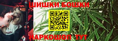прущие грибы Лесосибирск