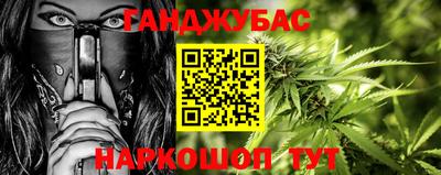 прущие грибы Лесосибирск