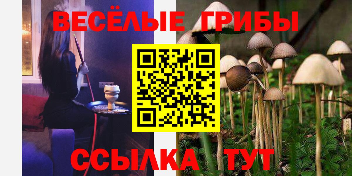 Псилоцибиновые грибы Magic Shrooms  Вход с VPN  Дивногорск  Псилоцибиновые грибы Cubensis 
