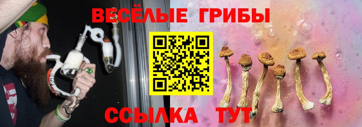 Псилоцибиновые грибы GOLDEN TEACHER Дивногорск